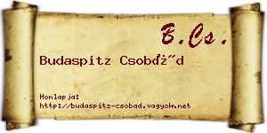 Budaspitz Csobád névjegykártya